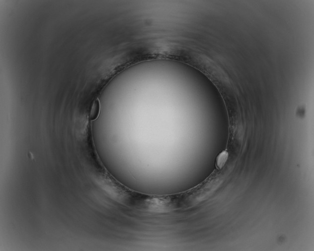 X0000101480660200807141416