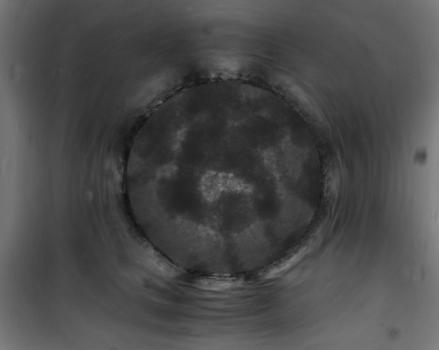 X0000101480661200807141416