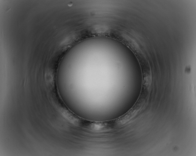 X0000101480662200807141416