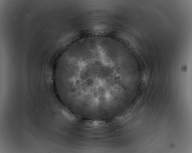 X0000101480663200807141416