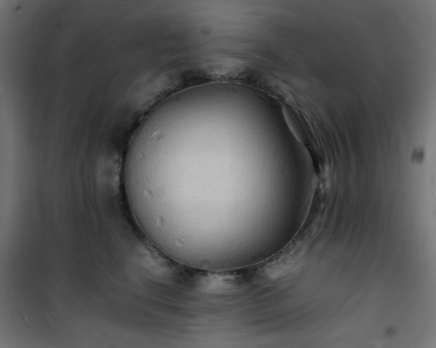 X0000101480664200807141416