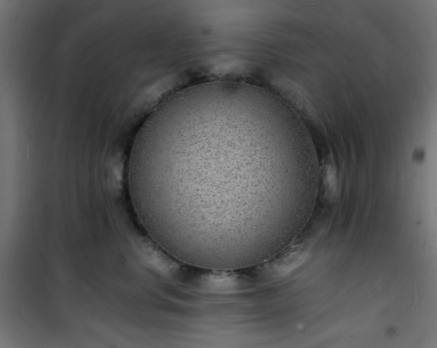 X0000101480668200807141416