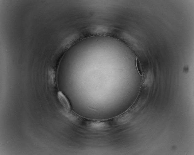 X0000101480669200807141416