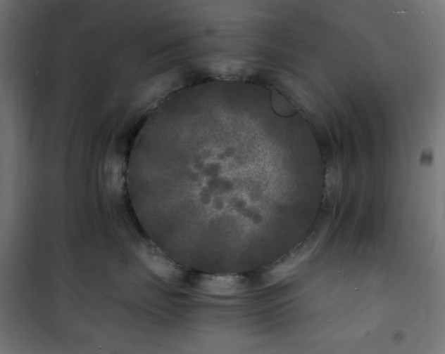 X0000101480671200807141416