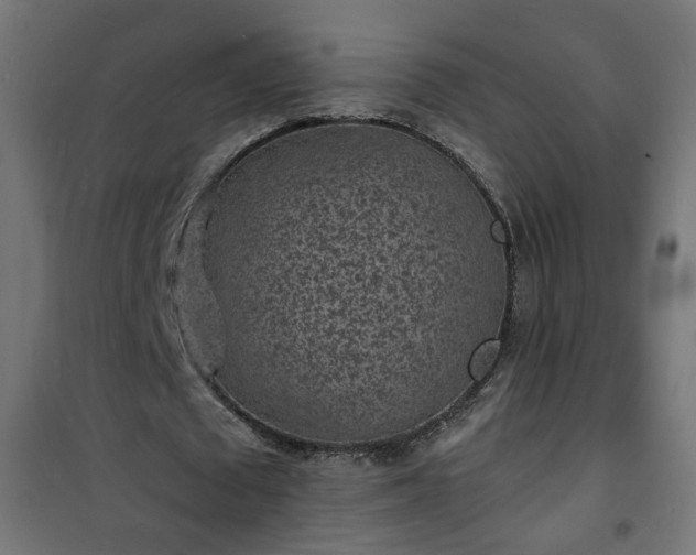 X0000101480673200807141415