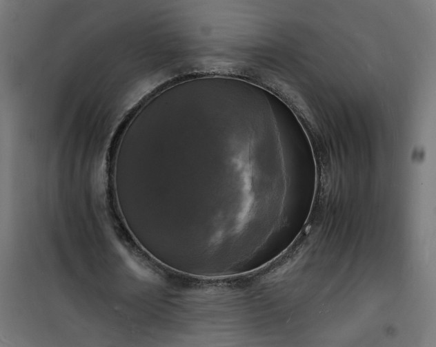 X0000101480674200807141415