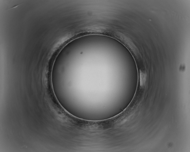 X0000101480675200807141415