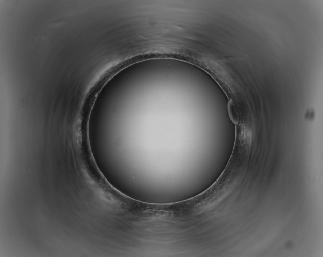 X0000101480676200807141415