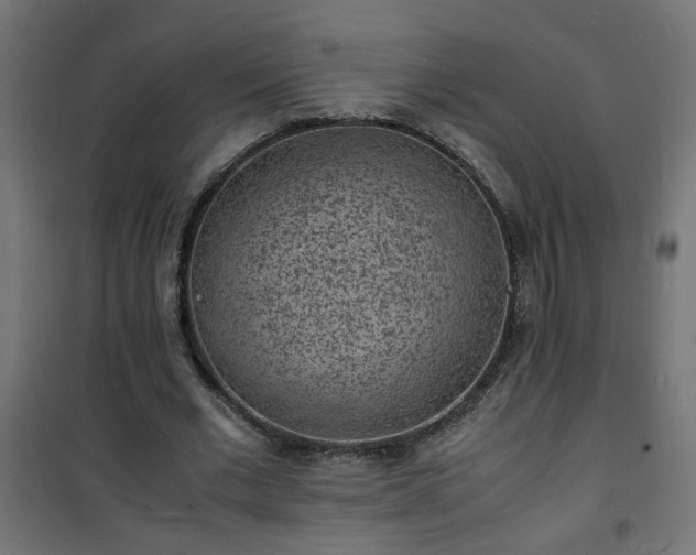 X0000101480677200807141415