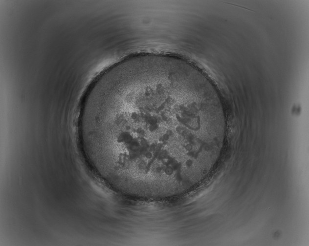 X0000101480679200807141415