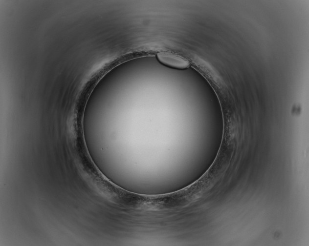 X0000101480680200807141415