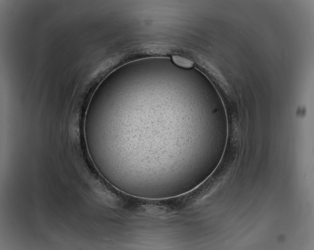 X0000101480681200807141415