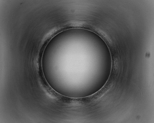 X0000101480682200807141415