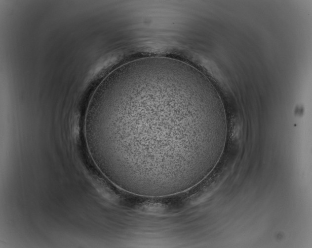 X0000101480685200807141415