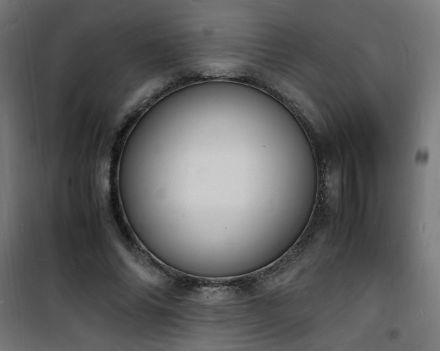 X0000101480686200807141415