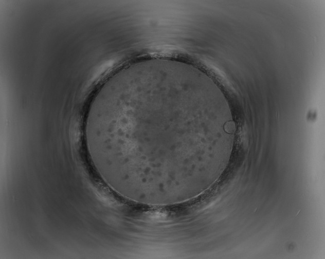 X0000101480687200807141415