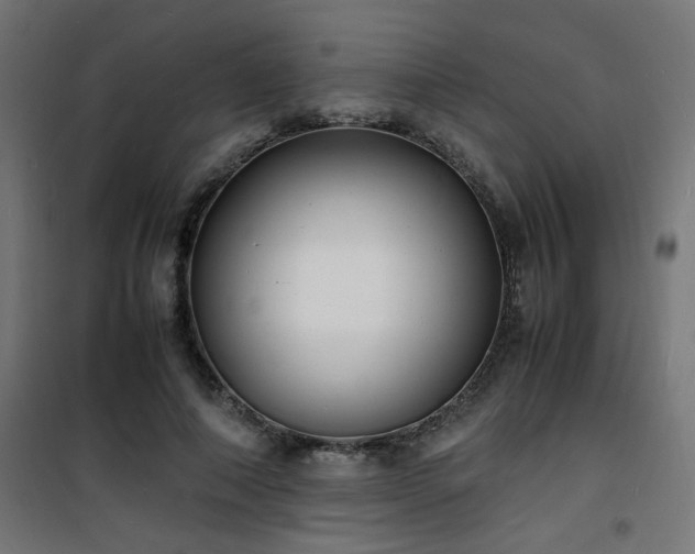 X0000101480690200807141415