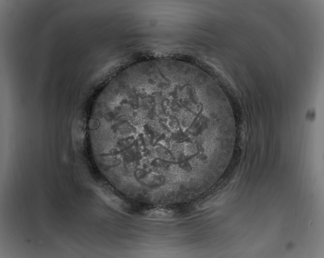 X0000101480691200807141415