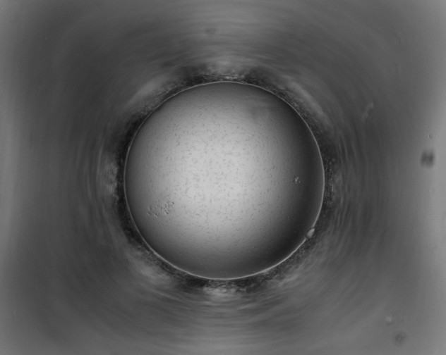 X0000101480693200807141415