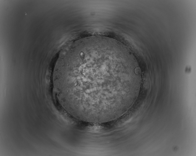 X0000101480695200807141415