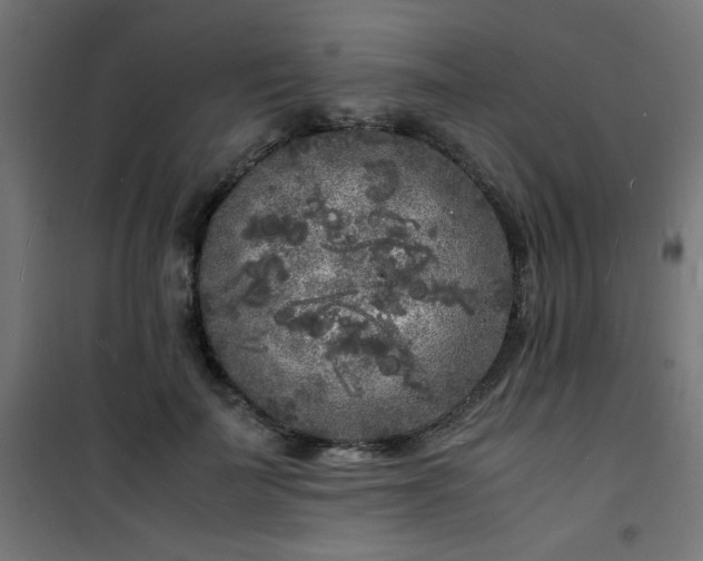 X0000101480699200807141415