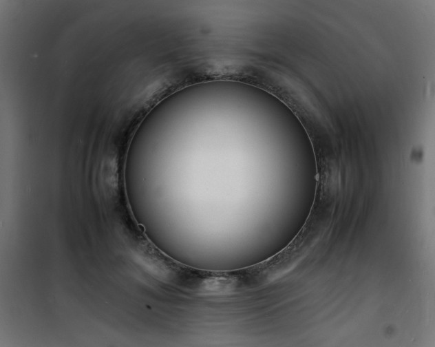 X0000101480700200807141415