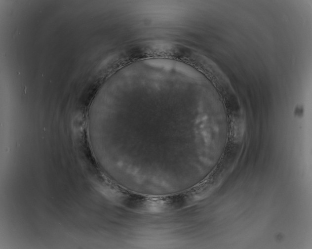 X0000101480701200807141415