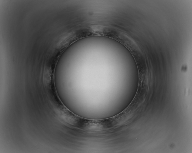 X0000101480702200807141415
