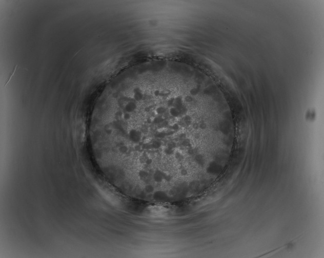 X0000101480703200807141415