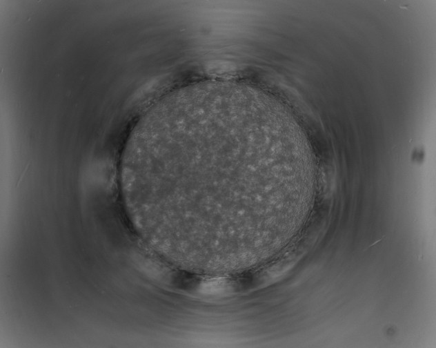 X0000101480705200807141415