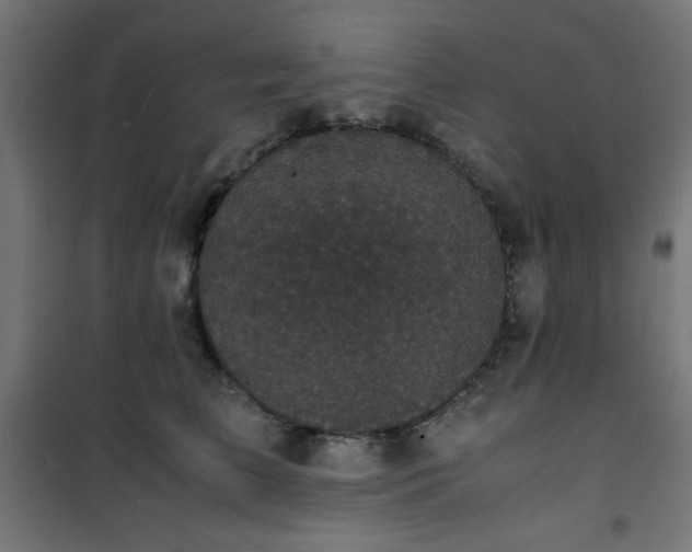 X0000101480709200807141415