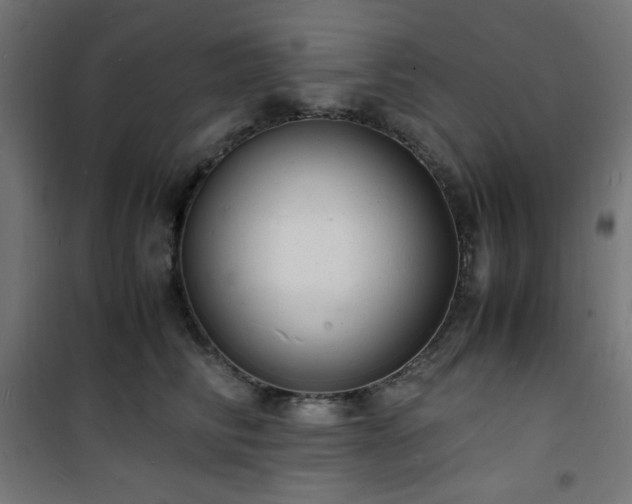 X0000101480710200807141415