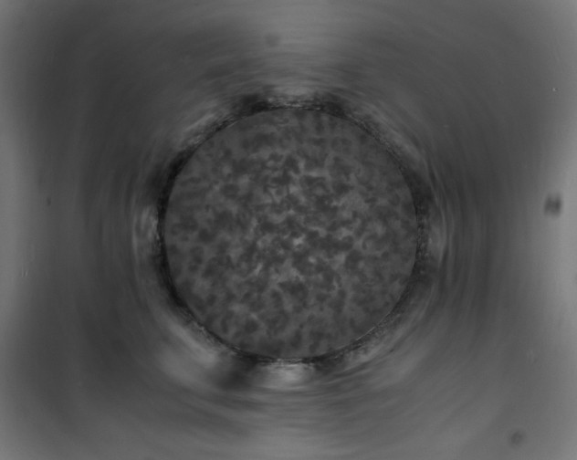 X0000101480711200807141415