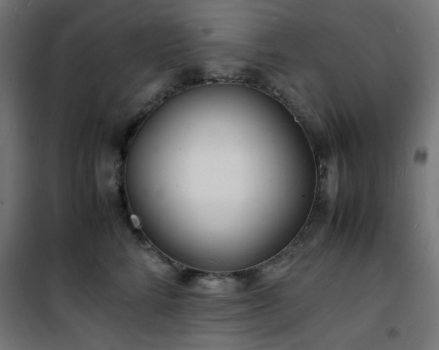 X0000101480712200807141415