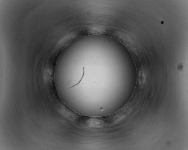 X0000101480714200807141415