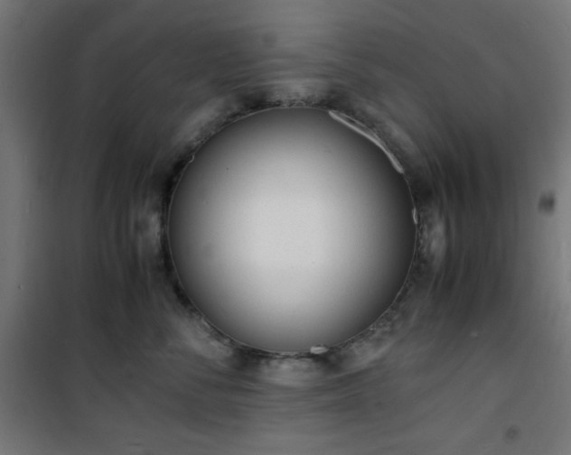 X0000101480716200807141415