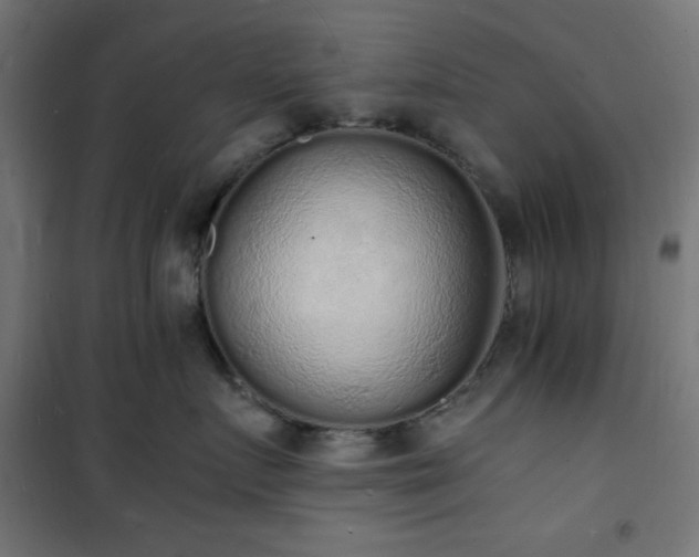 X0000101480719200807141414