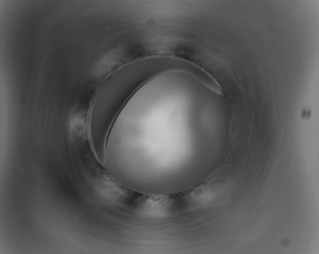 X0000101480720200807141414