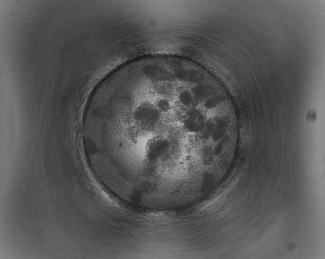 X0000101480721200807141414