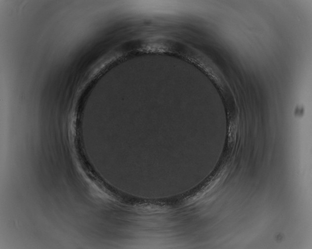X0000101480722200807141414