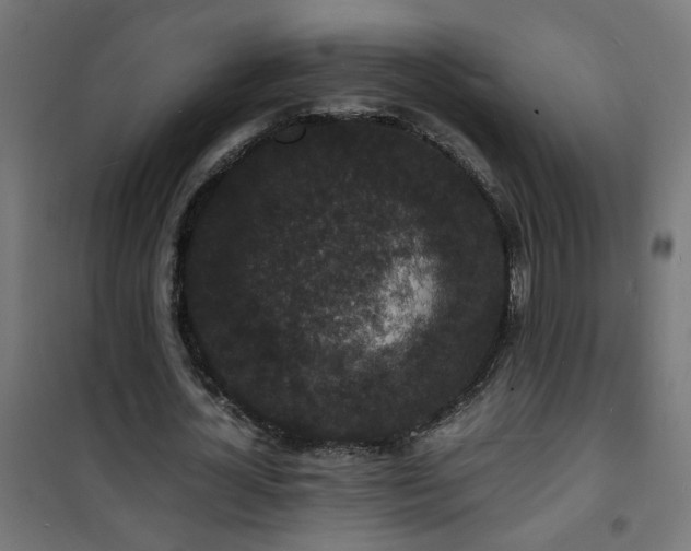X0000101480724200807141414