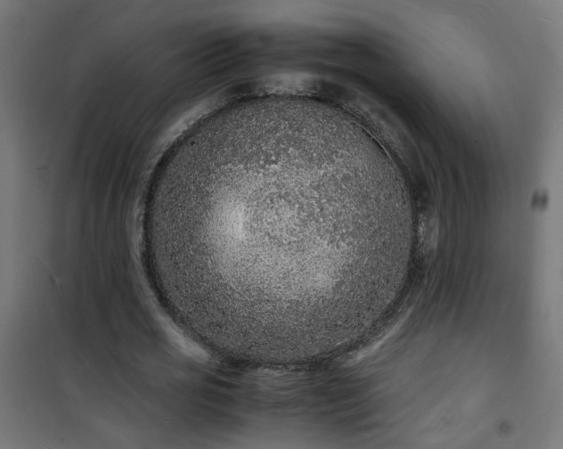 X0000101480725200807141414