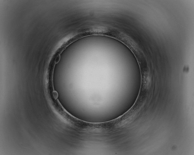 X0000101480726200807141414