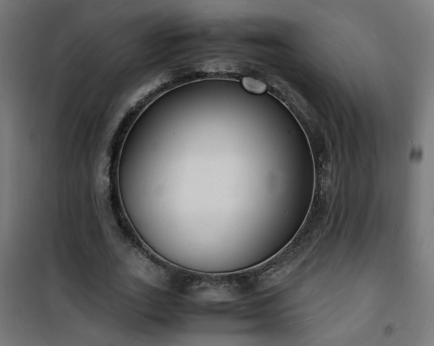 X0000101480727200807141414