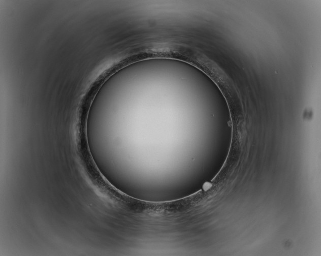 X0000101480728200807141414