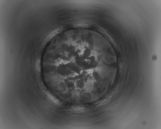 X0000101480729200807141414