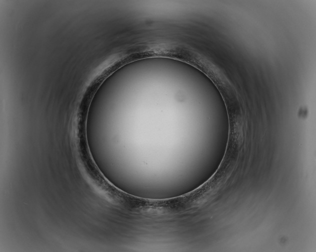 X0000101480730200807141414