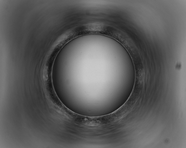 X0000101480731200807141414