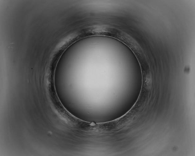 X0000101480732200807141414
