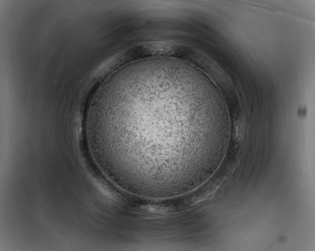 X0000101480733200807141414